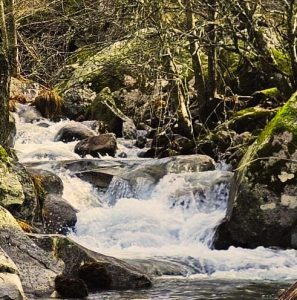 Retiro de Yoga en la Vera